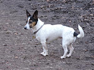 January 2017 Photo 30